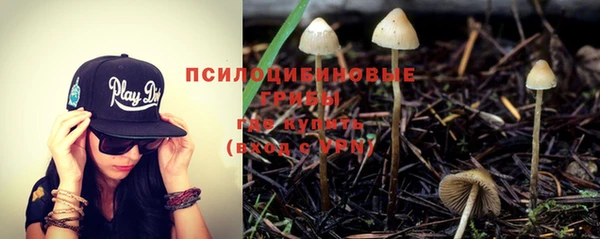 мет Фёдоровский