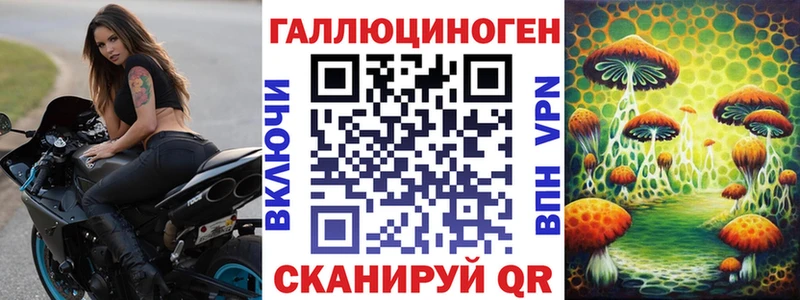 Галлюциногенные грибы Psilocybe  Дыгулыбгей 